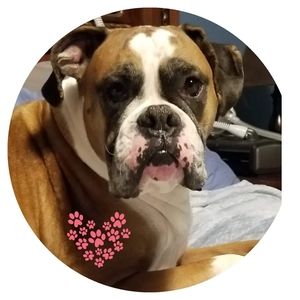 Meet your Posher, Mary